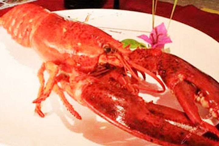 珠海海湾大酒店(海湾壹品餐厅-商务套餐)团购-珠海餐饮娱乐团购-【携程团购】