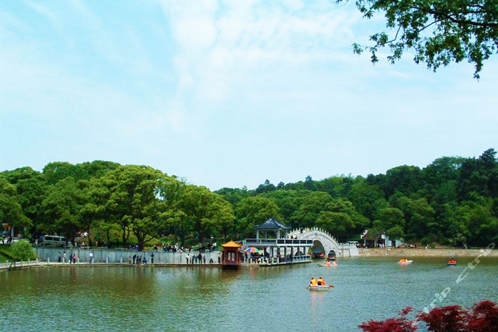 长沙-岳阳楼君山岛一日游团购-酒店团购-【携程团购】