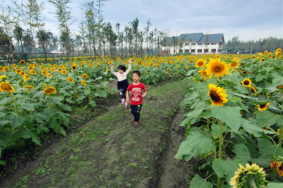 2019年国家先给钱后建设的4个农业产业项目最多补贴1个亿