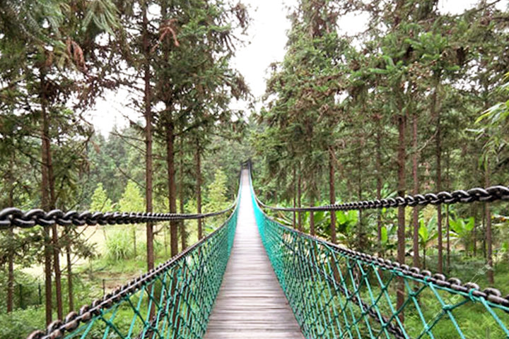 安吉中南百草原景区(门票)