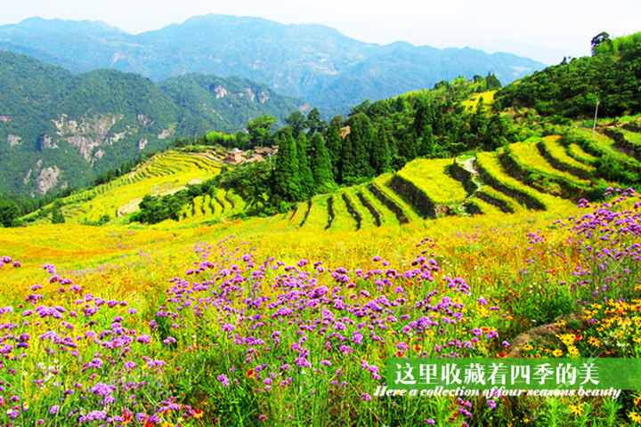 福州永泰云顶景区套票1张-云山圣境+天池团购