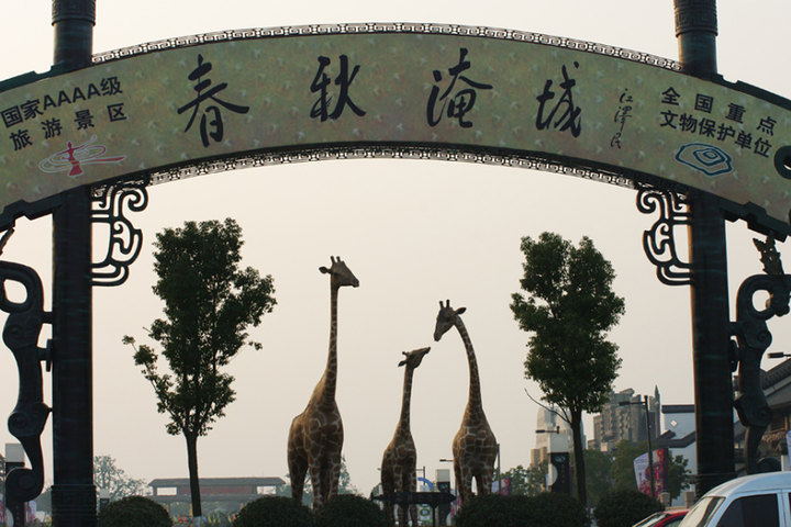 我想在常州武进区开一家专门买牛羊肉的铺子,