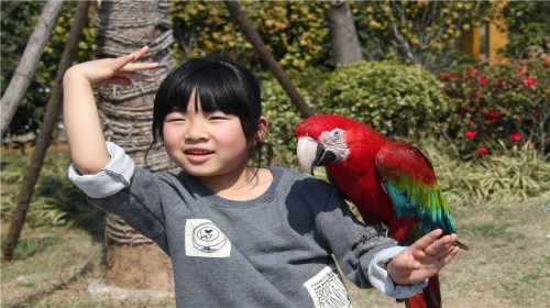 无锡旅游线路攻略_无锡到青岛自助游_自由行摩纳哥的自驾游攻略图片