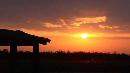 上海旅游线路攻略_上海自助游_自由行_跟团旅