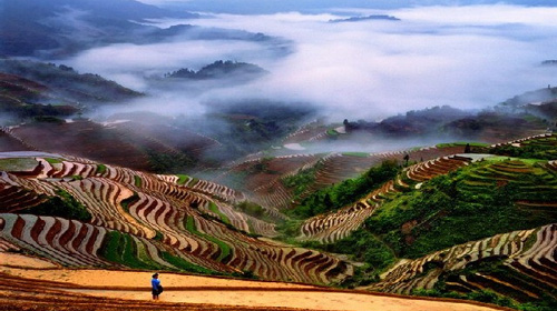 桂林旅游线路攻略_广州到桂林自助游_自由行