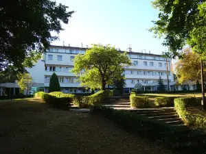 Hotel Ameliówka