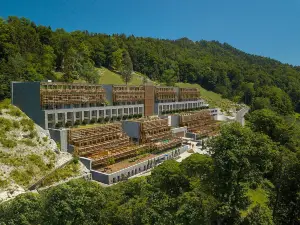 Burgenstock Hotels & Resort - Waldhotel & Spa