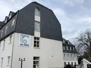 Hotel Alte Mühle