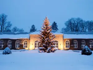Gräflicher Park Health & Balance Resort
