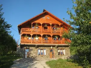 Pensiunea Teodora Teleptean