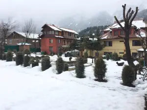 Hotel Volga
