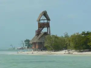 カーサ イグアナ ホルボックス