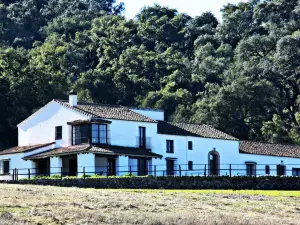 Villa Escutia