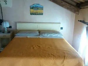 Affittacamere Ai Fiori
