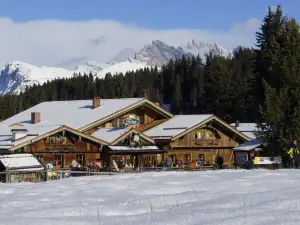 Dolomites Living Hotel Tirler