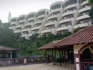 Puncak酒店