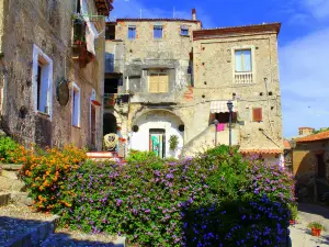 斯卡萊亞客房民宿