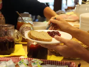 Vvf les Vosges Bitche