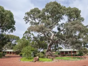 Southern Grampians Cottages