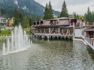 羅馬尼亞奧勒留伊姆帕拉圖酒店