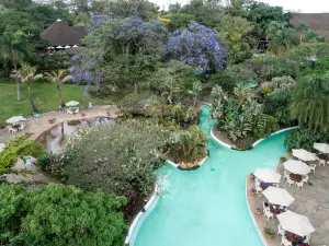 Safari Park Hotel