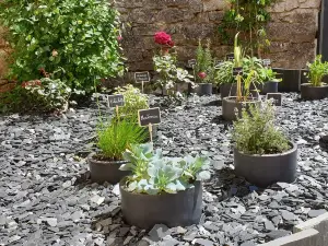 올리비에 레플래브