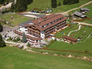 Moseralm Dolomiti Spa Resort