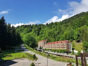 Sairme Hotels & Resorts