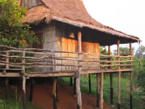 Tree Top Eco-Lodge