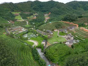 Lingnan Xiaodongtian Guesthouse