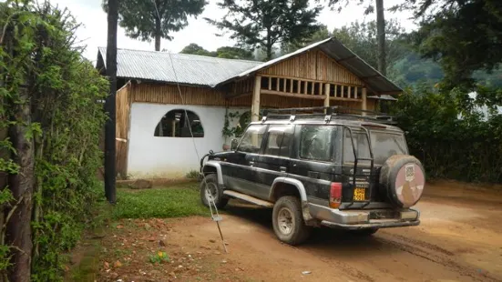 Gorilla Village Lodge
