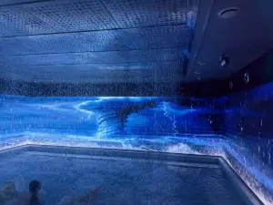 Beichuan CIoud Hot Spring HoteI Banacha Branch