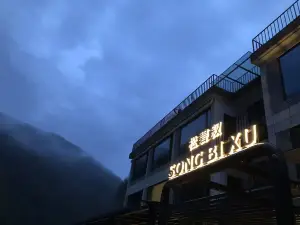 Zhashui Songbixu Homestay