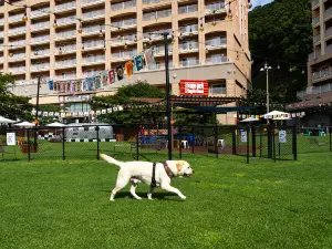 SONO Pet Clubs & Resorts Vivaldi Park