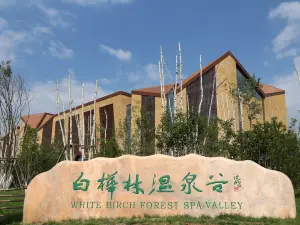 Baihualin Hot Spring Valley Hotel