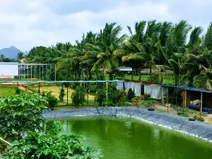 Mybhumi Resort