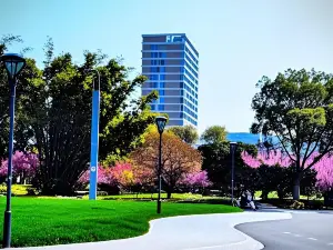Lishui University Academic Exchange Center Hotel (Yinxiang Xicheng Qizilou Branch)