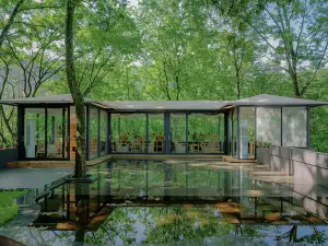 Zunbo Forest Vacation Apartment (Qingcheng Mountain Scenic Area)