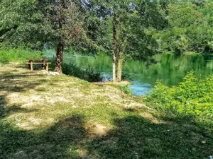Popović na Drini