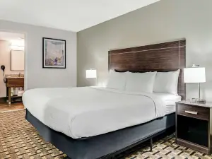 Quality Inn Detroit Downtown