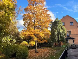 Akademihotellet
