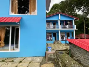 Jayanti Mother Nature Homestay (Munsyari, Uttarakhand)