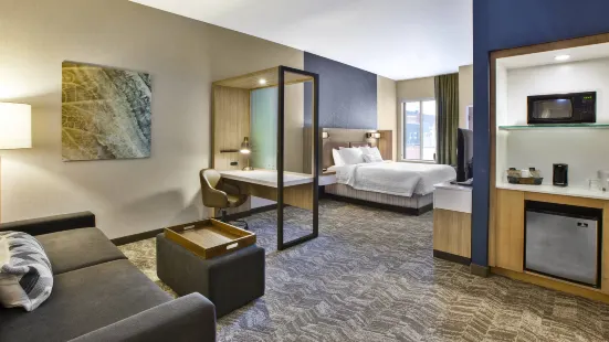 SpringHill Suites Pittsburgh Butler/Centre City
