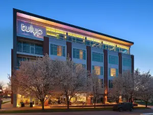 툴립, 태피스트리 컬렉션 바이 힐튼