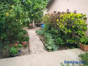 Hostal Izacalli