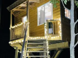 Reconnect with Nature in This One of a Kind Experience!