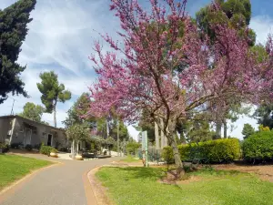 Kibbutz Malkiya Travel Hotel