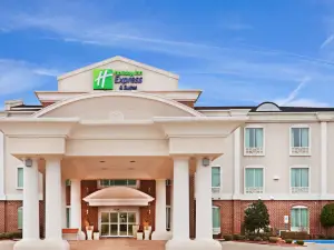 Holiday Inn Express & Suites WAXAHACHIE by IHG