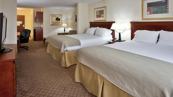 Holiday Inn Express & Suites ST. Petersburg North (I-275)