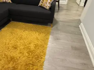 Brand new 2 bedroom basement apartment